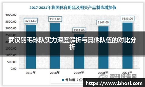 Bwin体育武汉羽毛球队实力深度解析与其他队伍的对比分析